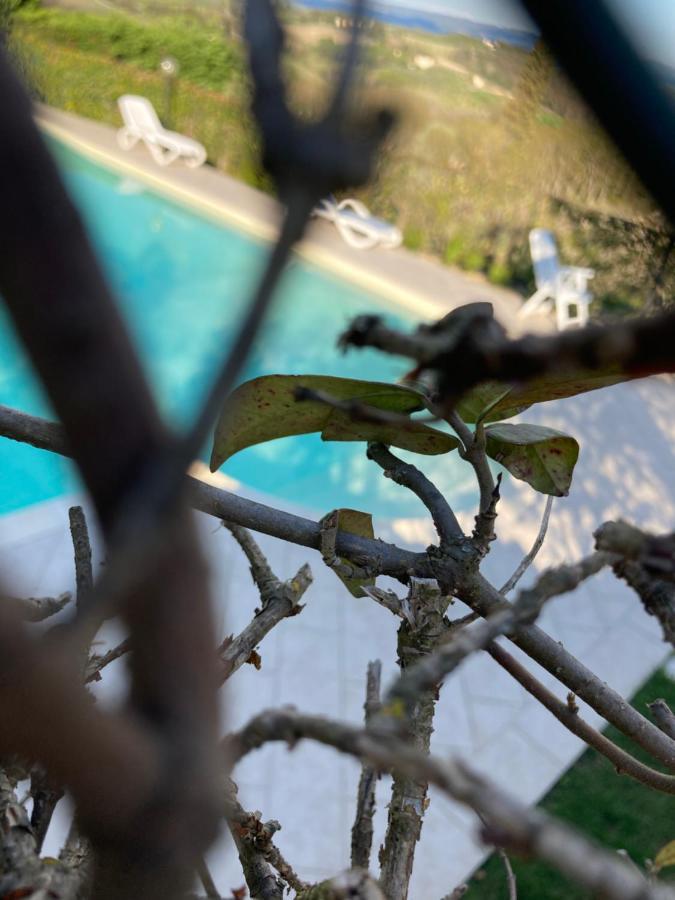 Appartamento Il Vecchio Fienile San Gimignano Exterior foto